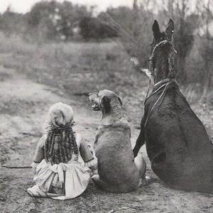 Meet your Posher, Katalin